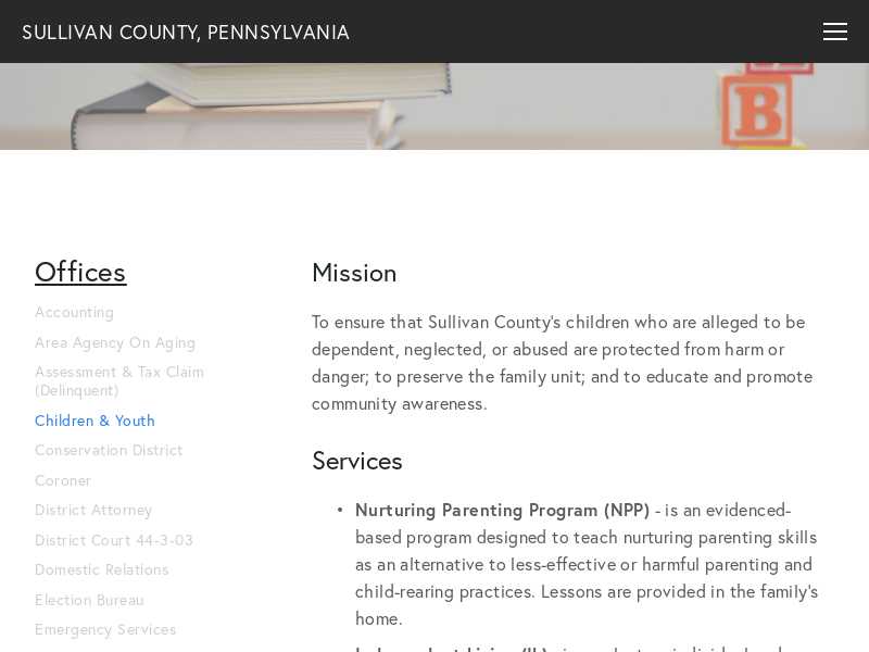 Sullivan County Children and Youth Services